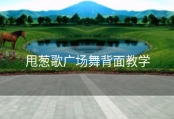 甩葱歌广场舞背面教学