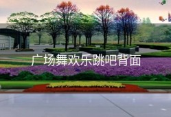 广场舞欢乐跳吧背面