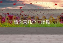 请你来几个广场舞