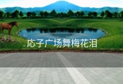 応子广场舞梅花泪