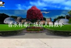 香水有毒广场双人舞教学