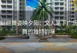 翩翩舞姿映夕阳：文人笔下广场舞的独特韵味