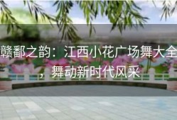 赣鄱之韵：江西小花广场舞大全，舞动新时代风采