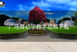 广场舞初学教学视频下载