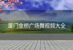 厦门金桥广场舞视频大全