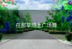 在那草原上广场舞