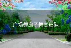 广场舞扇子舞变形队