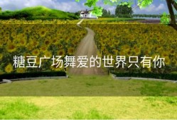 糖豆广场舞爱的世界只有你