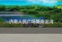 济南人民广场舞南泥湾