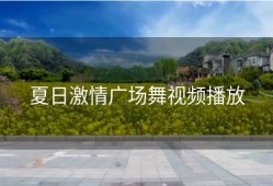 夏日激情广场舞视频播放