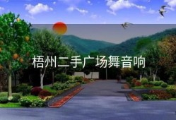 梧州二手广场舞音响