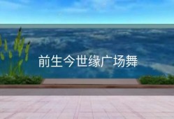 前生今世缘广场舞
