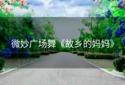 微妙广场舞《故乡的妈妈》