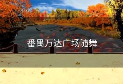 番禺万达广场随舞