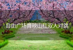 自由广场舞映山红双人对跳