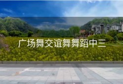 广场舞交谊舞舞蹈中三