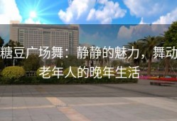糖豆广场舞：静静的魅力，舞动老年人的晚年生活