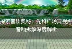 探索音质奥秘：先科广场舞视频音响拆解深度解析