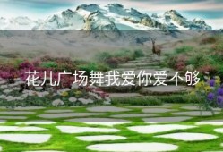 花儿广场舞我爱你爱不够