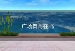 广场舞哥在飞