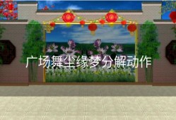 广场舞尘缘梦分解动作