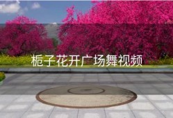 栀子花开广场舞视频