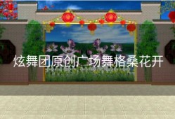 炫舞团原创广场舞格桑花开