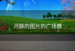 河豚的图片的广场舞