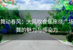 舞动春风：大风吹合集串烧广场舞的魅力与感染力