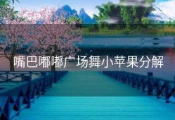 嘴巴嘟嘟广场舞小苹果分解