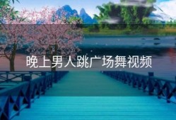 晚上男人跳广场舞视频