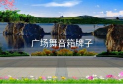 广场舞音箱牌子