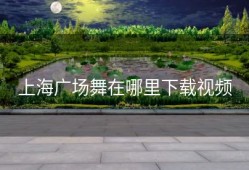上海广场舞在哪里下载视频
