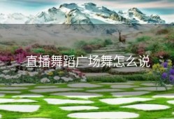 直播舞蹈广场舞怎么说