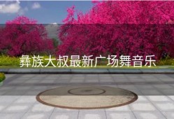 彝族大叔最新广场舞音乐