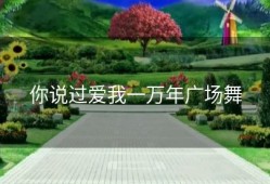 你说过爱我一万年广场舞
