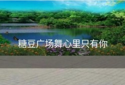 糖豆广场舞心里只有你