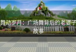 舞动岁月：广场舞背后的老婆子故事