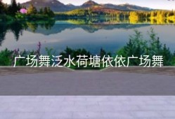 广场舞泛水荷塘依依广场舞