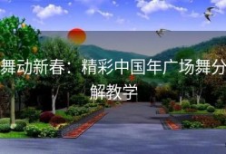 舞动新春：精彩中国年广场舞分解教学
