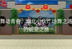 舞动青春，湖北小伙广场舞之路的蜕变之旅
