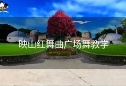 映山红舞曲广场舞教学