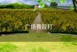 广场舞殴打