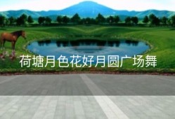 荷塘月色花好月圆广场舞