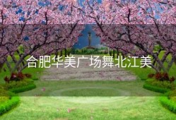 合肥华美广场舞北江美