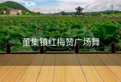 董集镇红梅赞广场舞