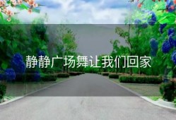 静静广场舞让我们回家