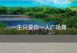 一生只爱你一人广场舞