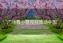 广场舞小慧视频舞动中国