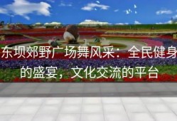 东坝郊野广场舞风采：全民健身的盛宴，文化交流的平台
